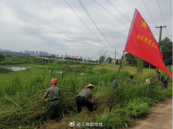 請戰！20余名退役軍人組建志愿隊 遞交抗洪搶險請戰書(shū)