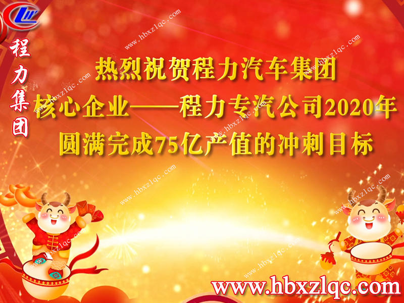 程力集團小編帶你回顧2020年，展望2021年新發(fā)展方向